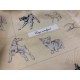 Burberry foulard se silk 100% dogs london giallo senape usato